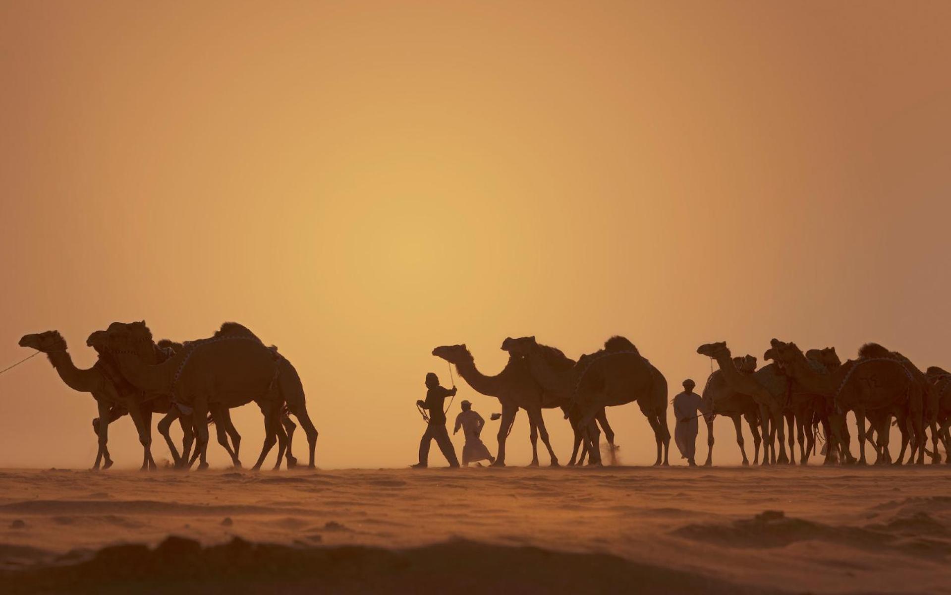 Anantara Qasr Al Sarab Desert Resort Jereirah Exterior photo